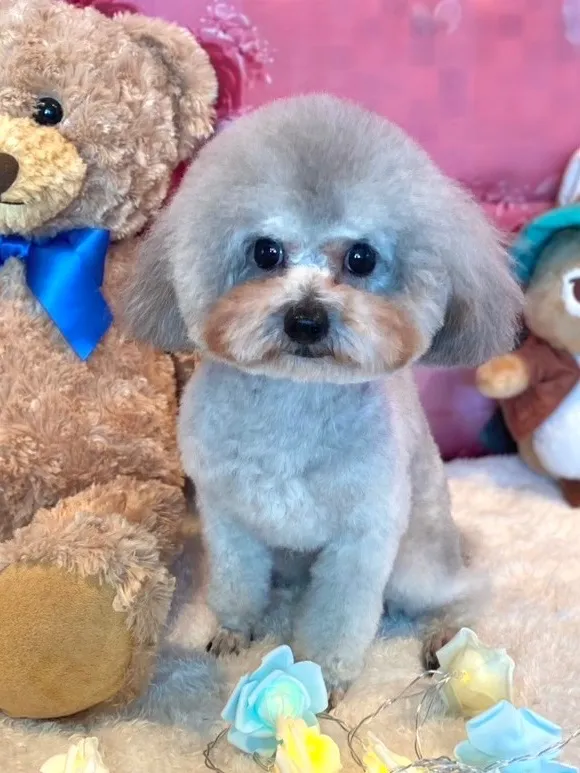 凪 ♂2024年8月産まれ